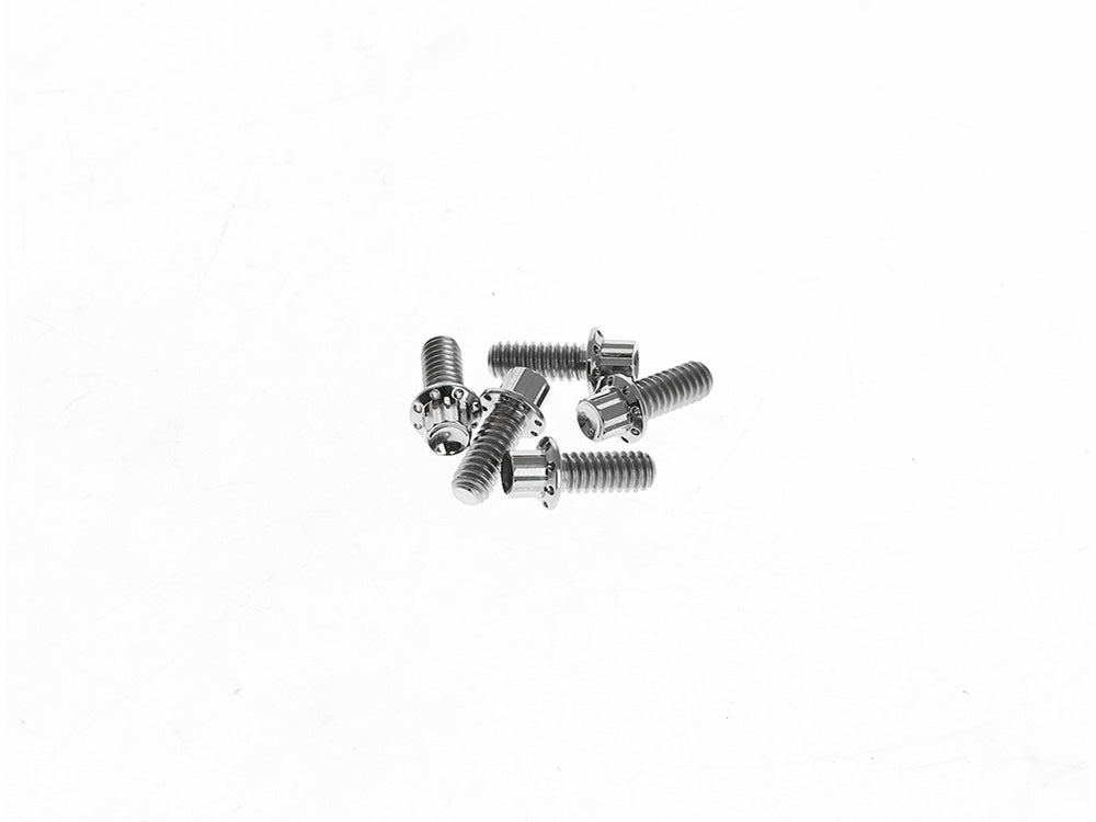 Titanium 12-Point Derby Cover Bolt Kit – Polished. Fits Touring 2007up, Softail 2007-2017 & Dyna 2006-2017 – Arlen Ness
