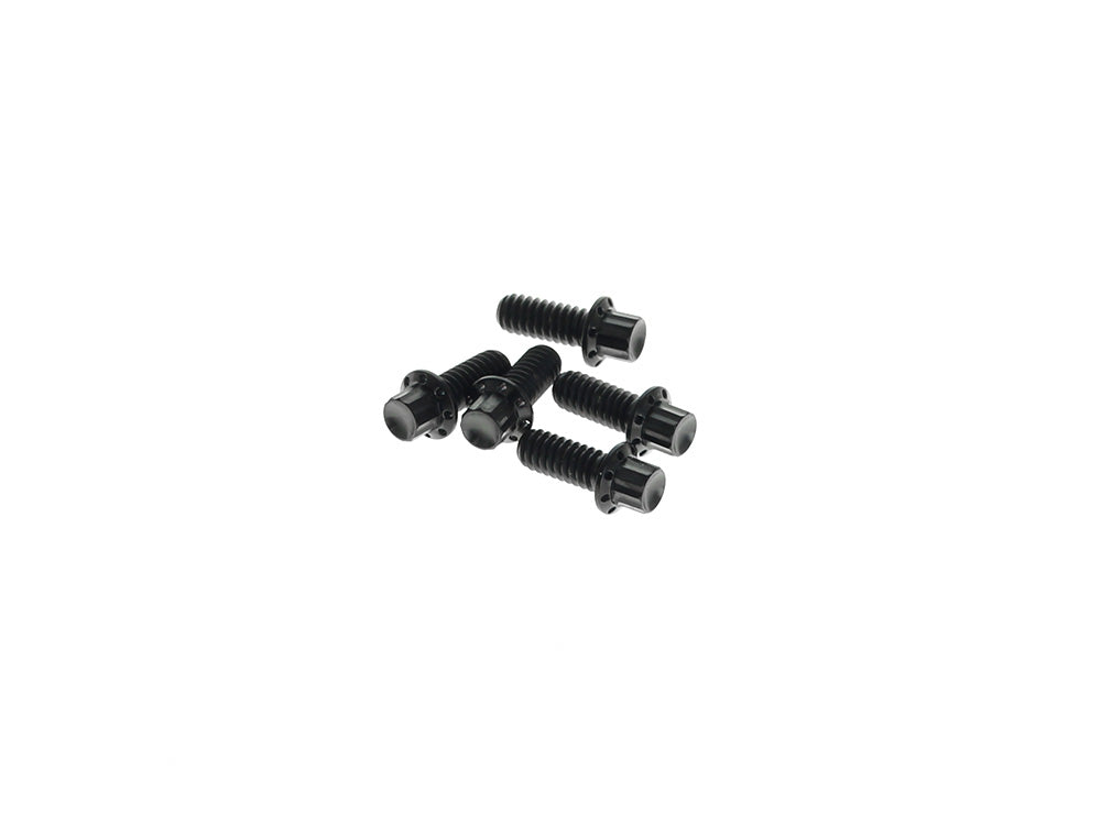 Titanium 12-Point Derby Cover Bolt Kit – Black. Fits Touring 2007up, Softail 2007-2017 & Dyna 2006-2017 – Arlen Ness