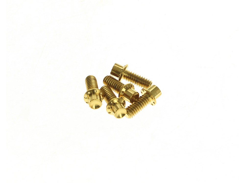 Titanium 12-Point Derby Cover Bolt Kit – Gold. Fits Touring 2007up, Softail 2007-2017 & Dyna 2006-2017 – Arlen Ness