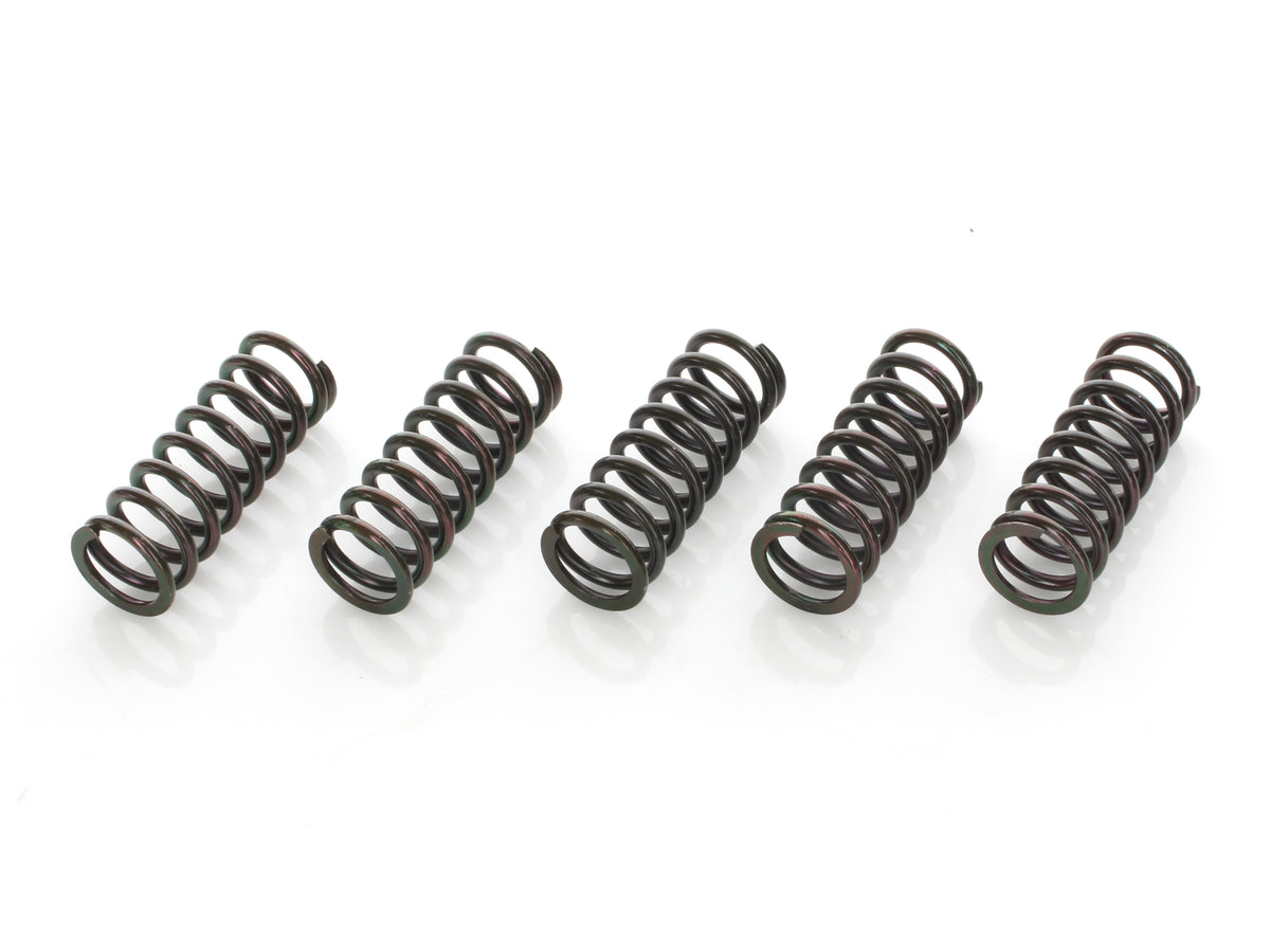 Extra Plate Clutch Kit. Fits Indian Tourers 2014-2020