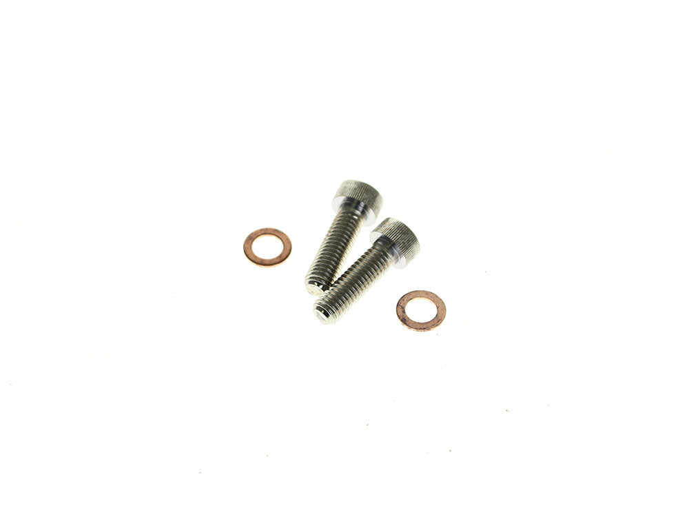 Damper Tube Screw & Washer Set. Fits Showa Forks, Most Big Twin 1975-2017 & Sportster 1987-2021