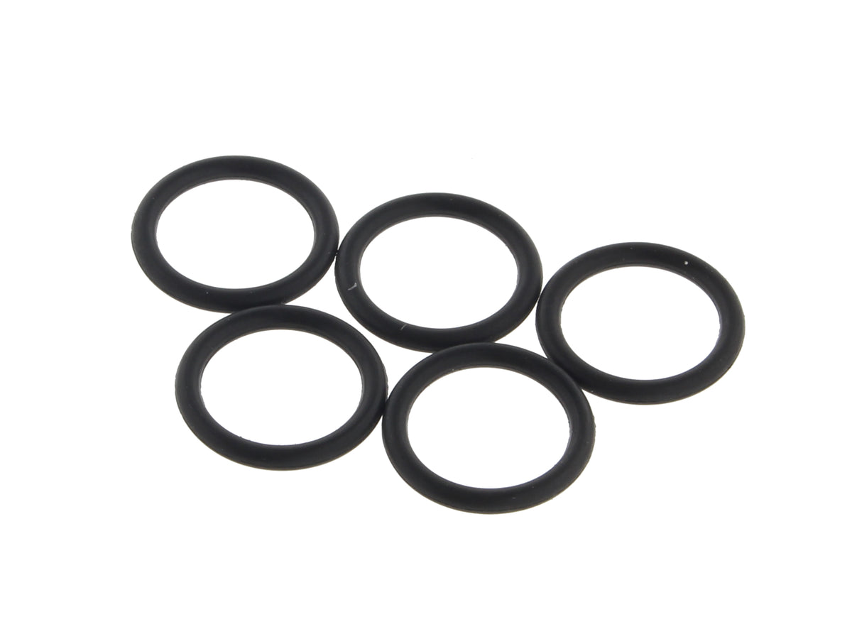 EFI Check Valve Lower O-Ring - Pack 5.