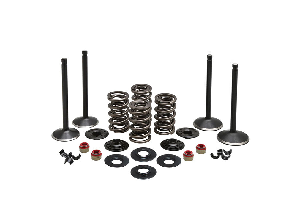 Valve & Spring Engine Kit. Fits 1200cc Sportster 1988-2003